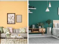 Interior-Wall-Paint-Guide